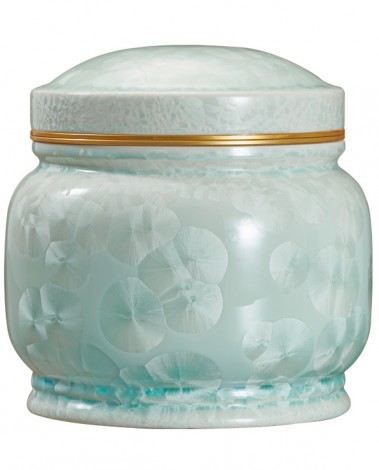 고결7호 블루봉분-A19728