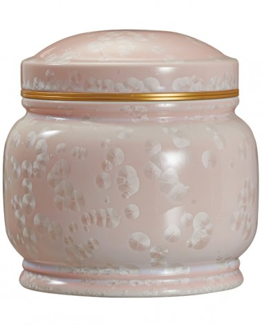 고결9호 핑크봉분-G15728